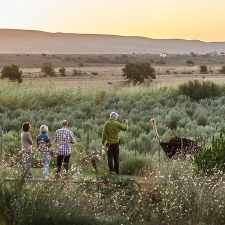 De Denne Country Guest House Oudtshoorn Εξωτερικό φωτογραφία