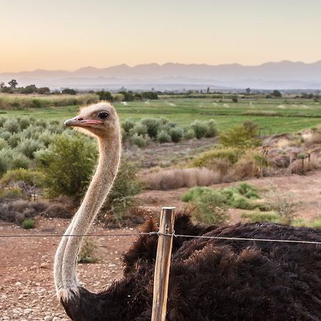 De Denne Country Guest House Oudtshoorn Εξωτερικό φωτογραφία