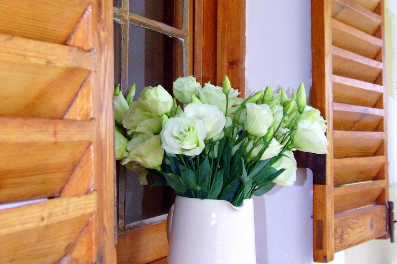De Denne Country Guest House Oudtshoorn Εξωτερικό φωτογραφία